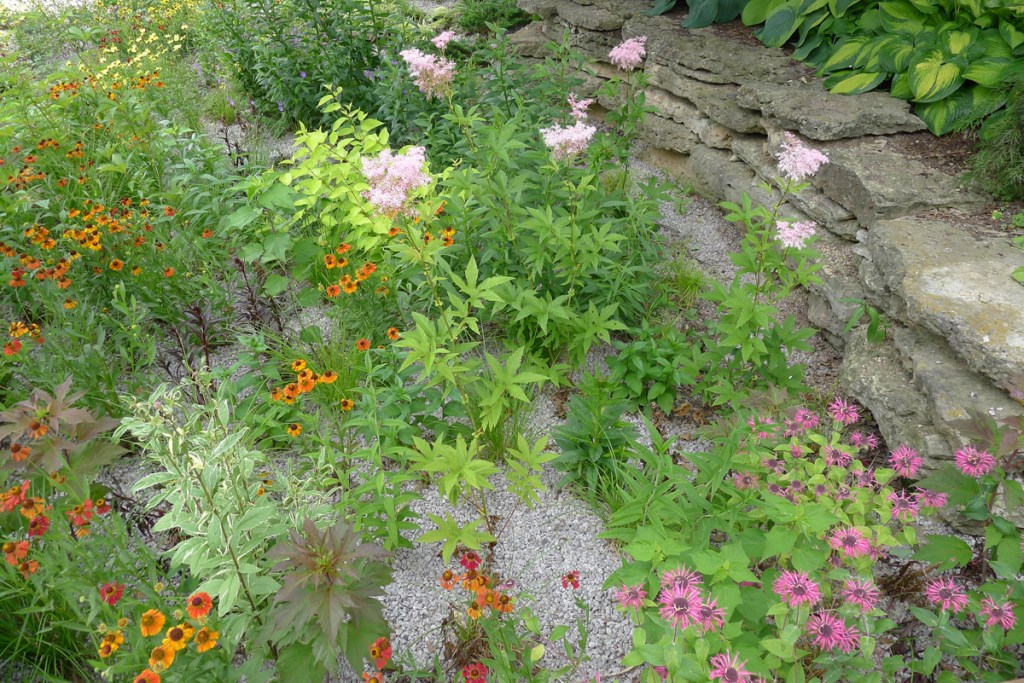 Rain Gardens Keep Green Water&nbsp;Away